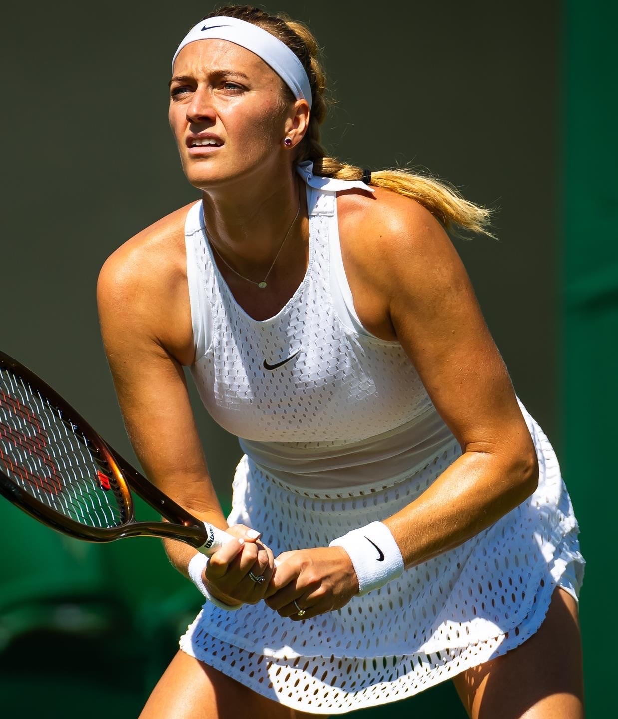 爱游戏平台体验 科维托娃球迷会 